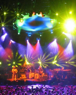 Grapevine Groove Seattle