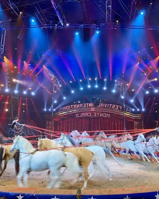 Shoestring Circus Seattle