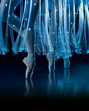 Ballet of Lights Renton