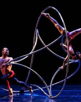 Momix Seattle