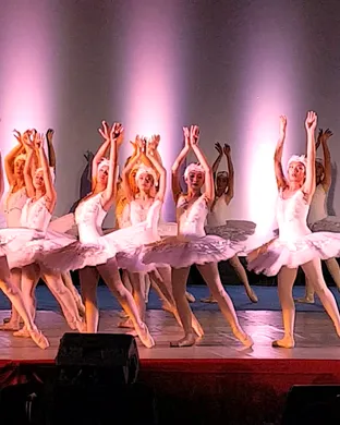 Swan Lake Olympia