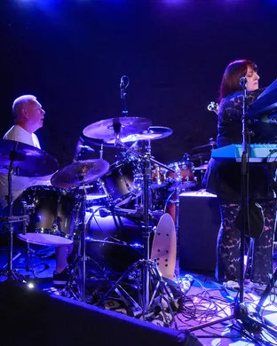 The Chameleons