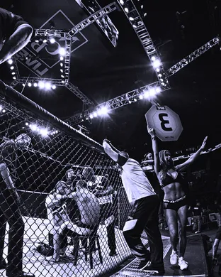 Ufc Fight Night Seattle