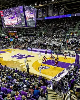 Washington Huskies Basketball Waco