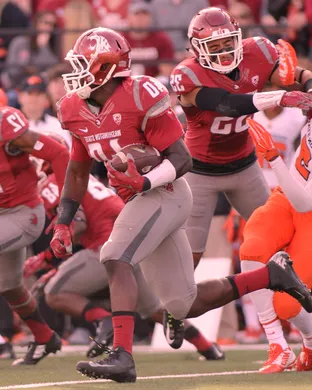 Washington State Cougars Football Seattle