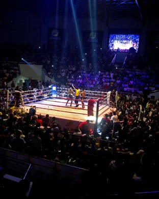 EQC Professional Boxing