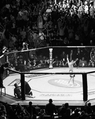 Excitefight MMA Auburn