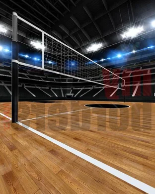 Michigan State Spartans Women's Volleyball East Lansing