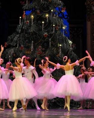World Ballet Company Seattle
